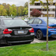 Illustration for article titled Pics from the Curbside: 2019-09-26 Around Deer Lake Park